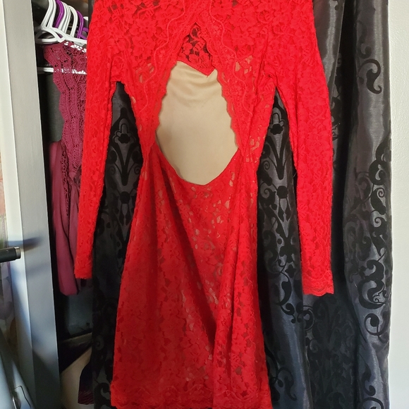 Express Lace Dress - Picture 3 of 3